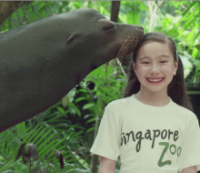 Singapore Zoo Conservation Billboards TVC